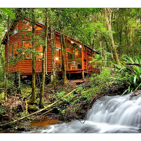 The Mouses House Rainforest Retreat Springbrook Exterior foto