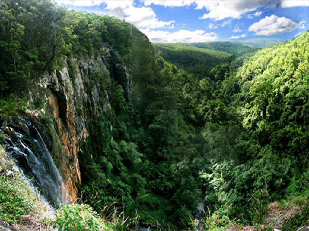 The Mouses House Rainforest Retreat Springbrook Exterior foto