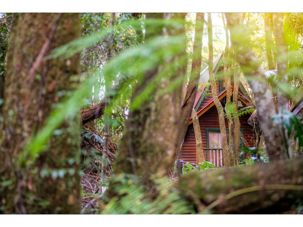 The Mouses House Rainforest Retreat Springbrook Exterior foto