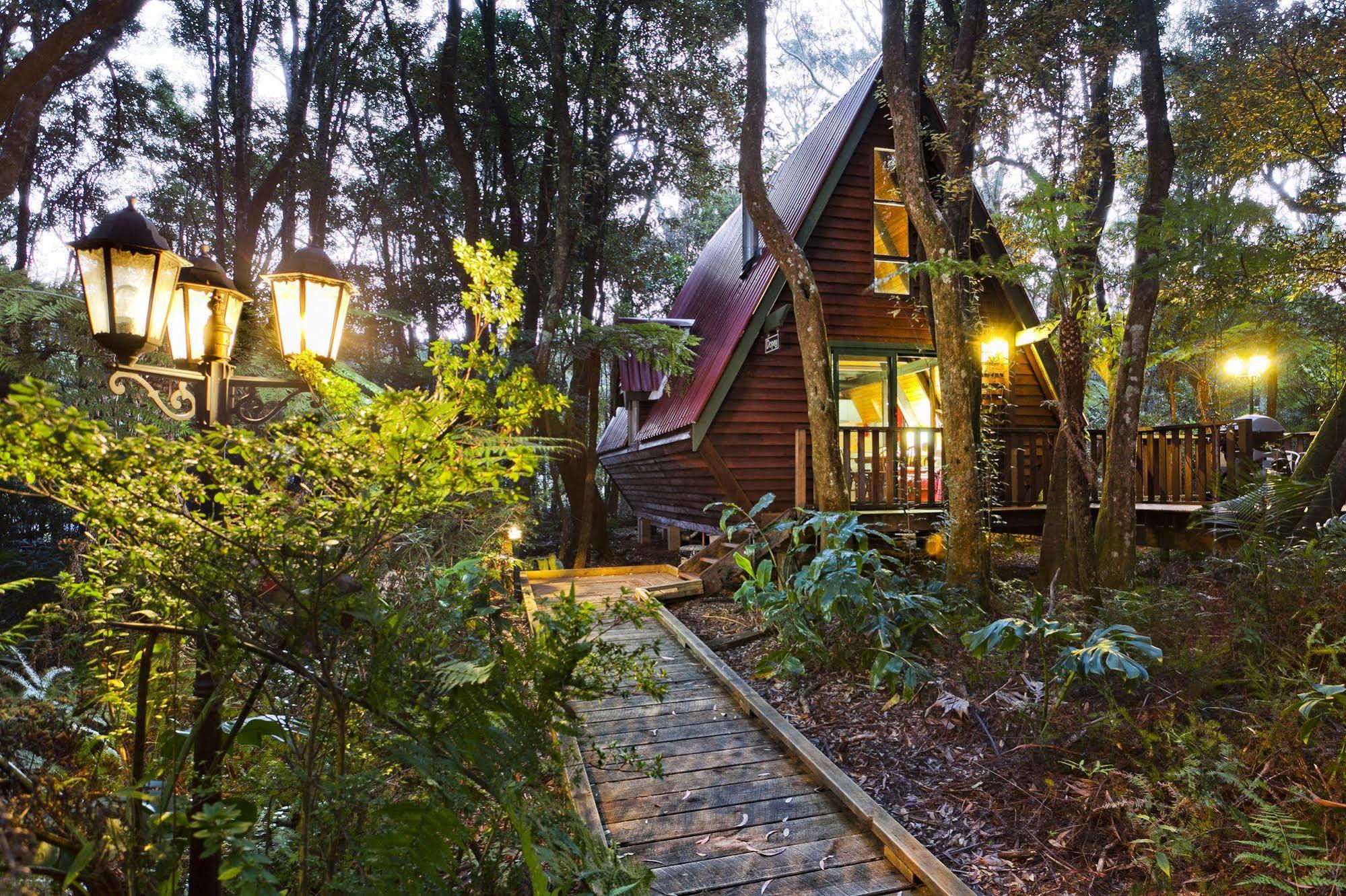 The Mouses House Rainforest Retreat Springbrook Exterior foto