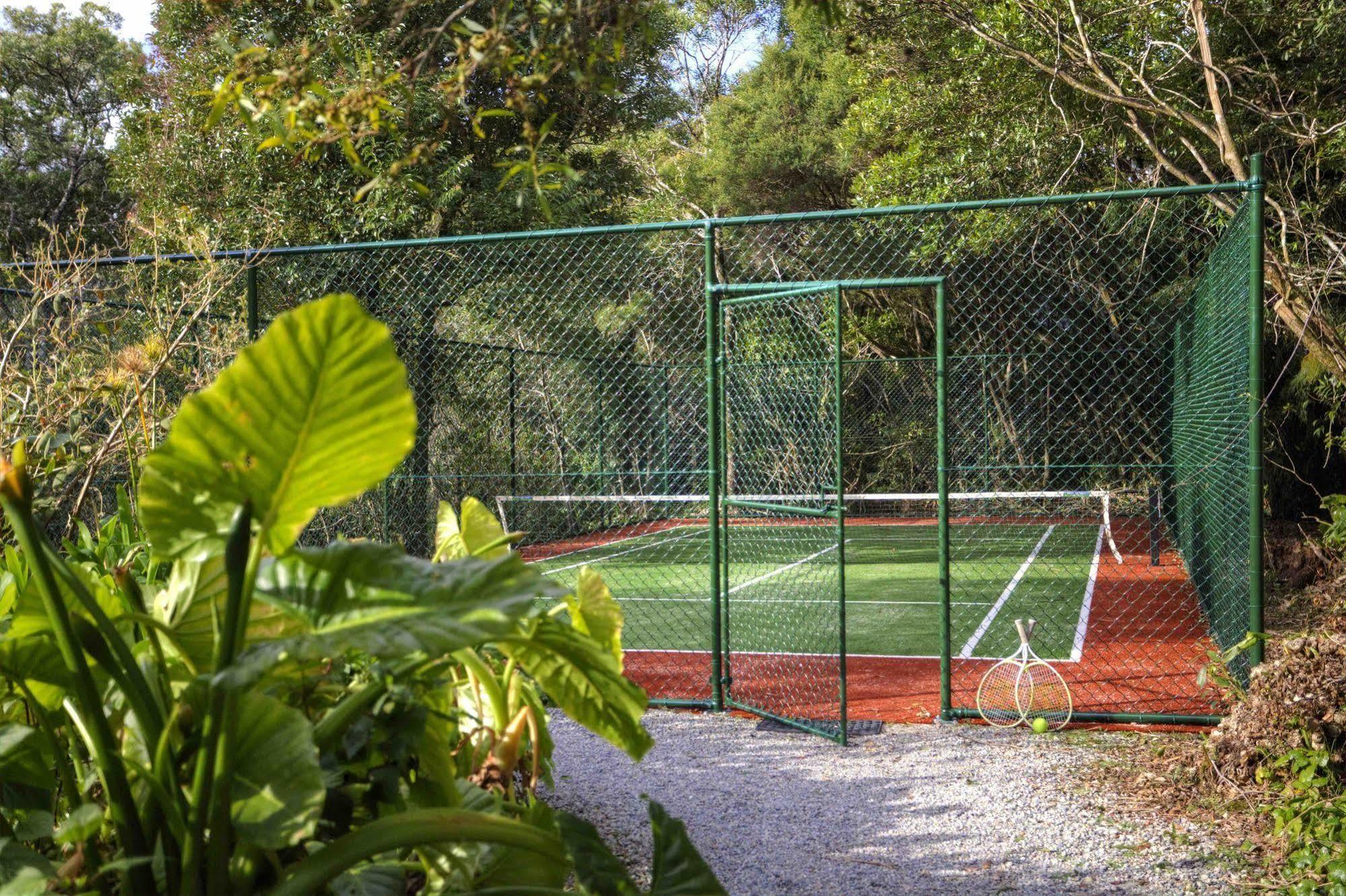 The Mouses House Rainforest Retreat Springbrook Exterior foto